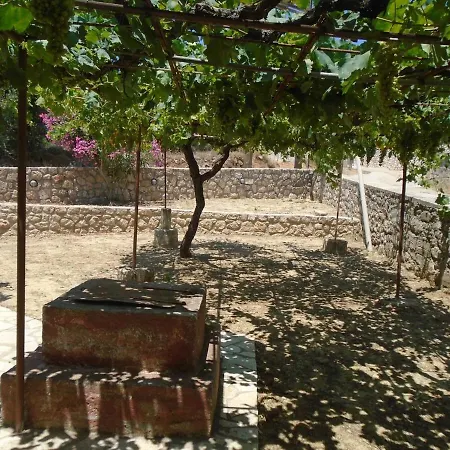 Tsikena Sweet Metaxata Feriehus Kaligata